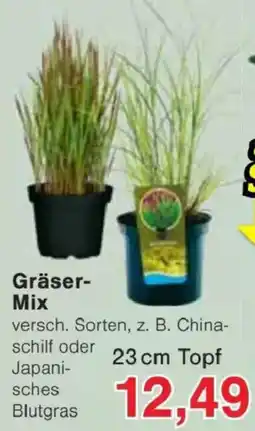 Jawoll Gräser-Mix Angebot