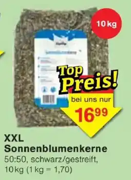 Jawoll XXL Sonnenblumenkerne Angebot