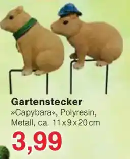 Jawoll Gartenstecker »Capybara« Angebot