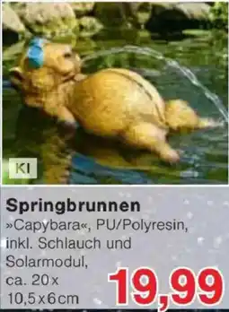 Jawoll Springbrunnen »Capybara« Angebot