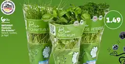 PENNY NATURGUT Deutsche Bio-Kräuter Angebot