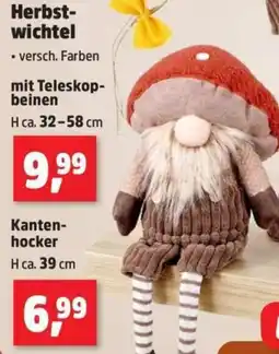 Thomas Philipps Herbstwichtel Angebot