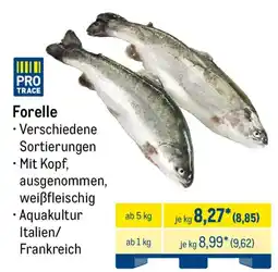 METRO PRO TRACE Forelle Angebot