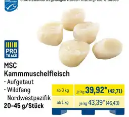 METRO MSC Kammmuschelfleisch Angebot