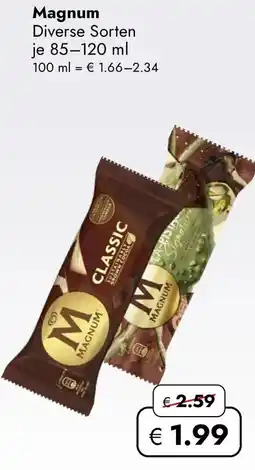 Travel Free Magnum Angebot