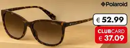 Travel Free Polaroid Sonnenbrille Angebot