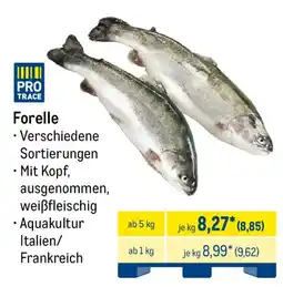 METRO PRO TRACE Forelle Angebot