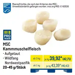 METRO MSC Kammmuschelfleisch Angebot