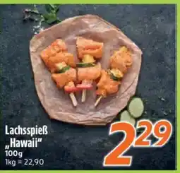 inkoop Lachsspieß "Hawaii" Angebot