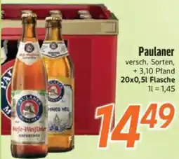 inkoop Paulaner Angebot