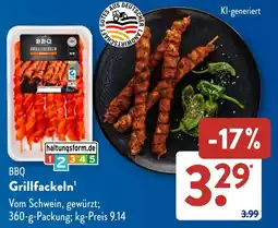 Aldi Süd BBQ Grillfackeln Angebot