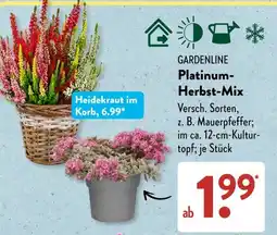 Aldi Süd GARDENLINE Platinum-Herbst-Mix Angebot