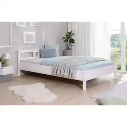 Netto Marken-Discount TiCAA Einzelbett und Doppelbett Merci Kiefer Weiß Angebot