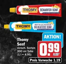 HIT Thomy Senf Angebot