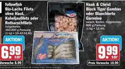 HIT Haak & Christ Black Tiger Gambas Angebot