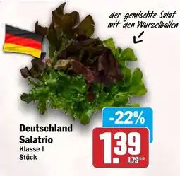 HIT Deutschland Salatrio Angebot