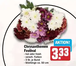 HIT Chrysanthemen Festival Angebot