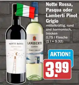 HIT Notte Rossa, Pasqua oder Lamberti Pinot Grigio Angebot