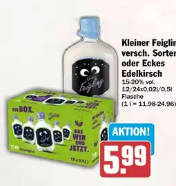 HIT Kleiner Feigling Angebot