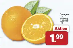 Famila Nord West Orangen Angebot