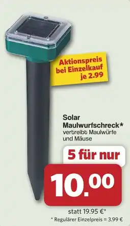 Famila Nord West Solar Maulwurfsschreck* Angebot