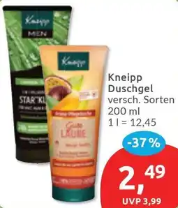 Budni Kneipp Duschgel Angebot