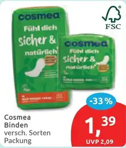 Budni Cosmea Binden Angebot