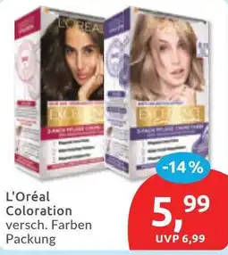 Budni L'Oréal Coloration Angebot