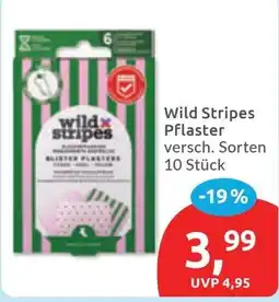 Budni Wild Stripes Pflaster Angebot
