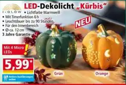 Norma LED-Dekolicht "Kürbis" I-GLOW Angebot