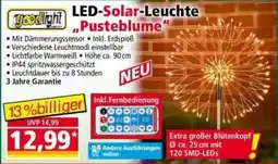 Norma goodlight LED-Solar-Leuchte "Pusteblume" Angebot