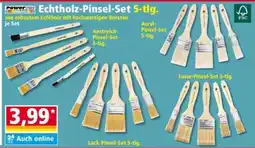 Norma Powertec Color Echtholz-Pinsel-Set Angebot