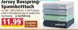 Norma Jersey Boxspring-Spannbetttuch Angebot