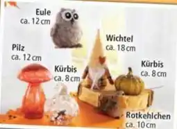 Norma Eule Angebot