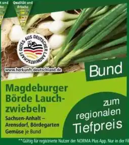 Norma Magdeburger Börde Lauchzwiebeln Angebot