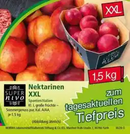 Norma Nektarinen XXL Angebot