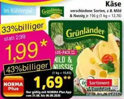 Norma Grünländer Käse Angebot