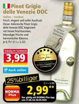 Norma Pinot Grigio delle Venezie DOC Angebot