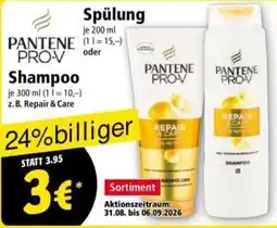 Norma PANTENE PRO-V Shampoo Angebot