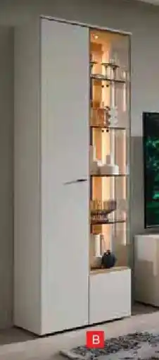 Zurbrüggen Vitrine Angebot