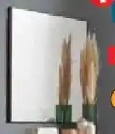 Zurbrüggen Spiegel Angebot