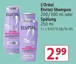 Rossmann L'Oréal Elvital Shampoo Angebot