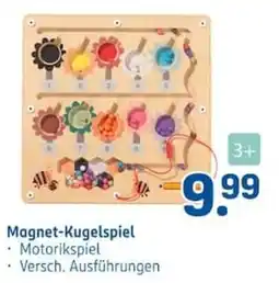 Rossmann Magnet-Kugelspiel Angebot