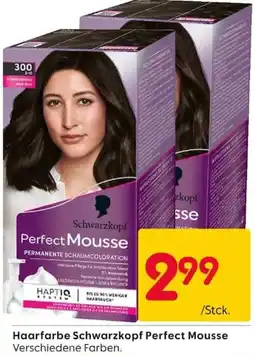 Rusta Schwarzkopf Perfect Mousse Angebot