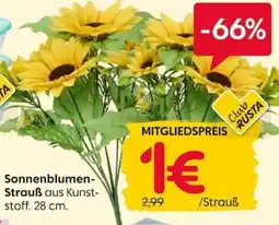 Rusta Sonnenblumen-Strauß Angebot