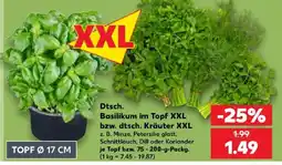 Kaufland dtsch. Basilikum im Topf XXL Angebot