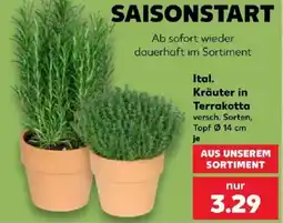 Kaufland Ital. Kräuter in Terrakotta Angebot
