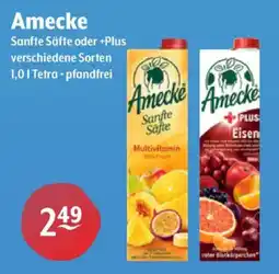 Getränke Hoffmann Amecke Sanfte Säfte Angebot