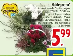 Edeka Heidegarten Angebot