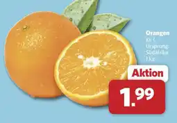 Combi Orangen Angebot